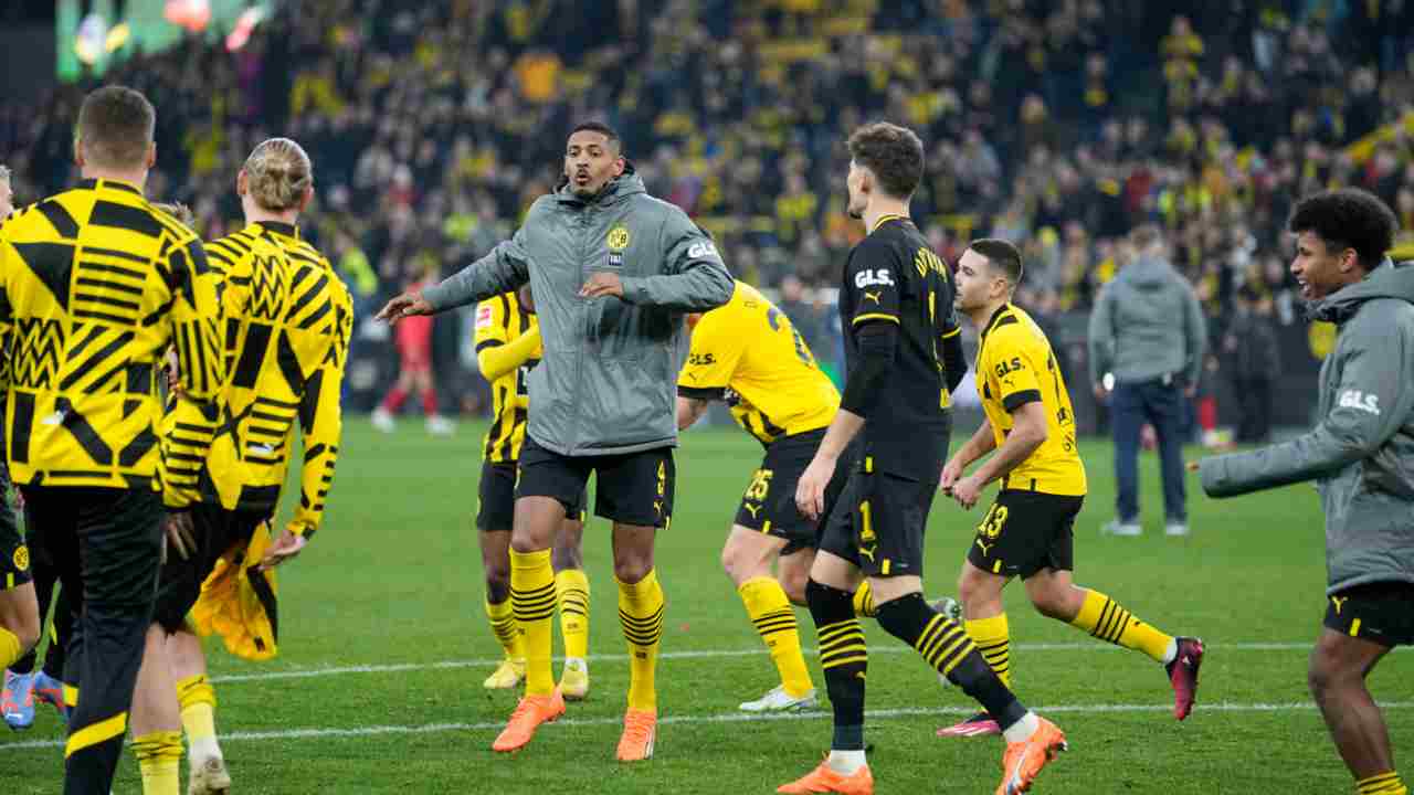 Haller Dortmund